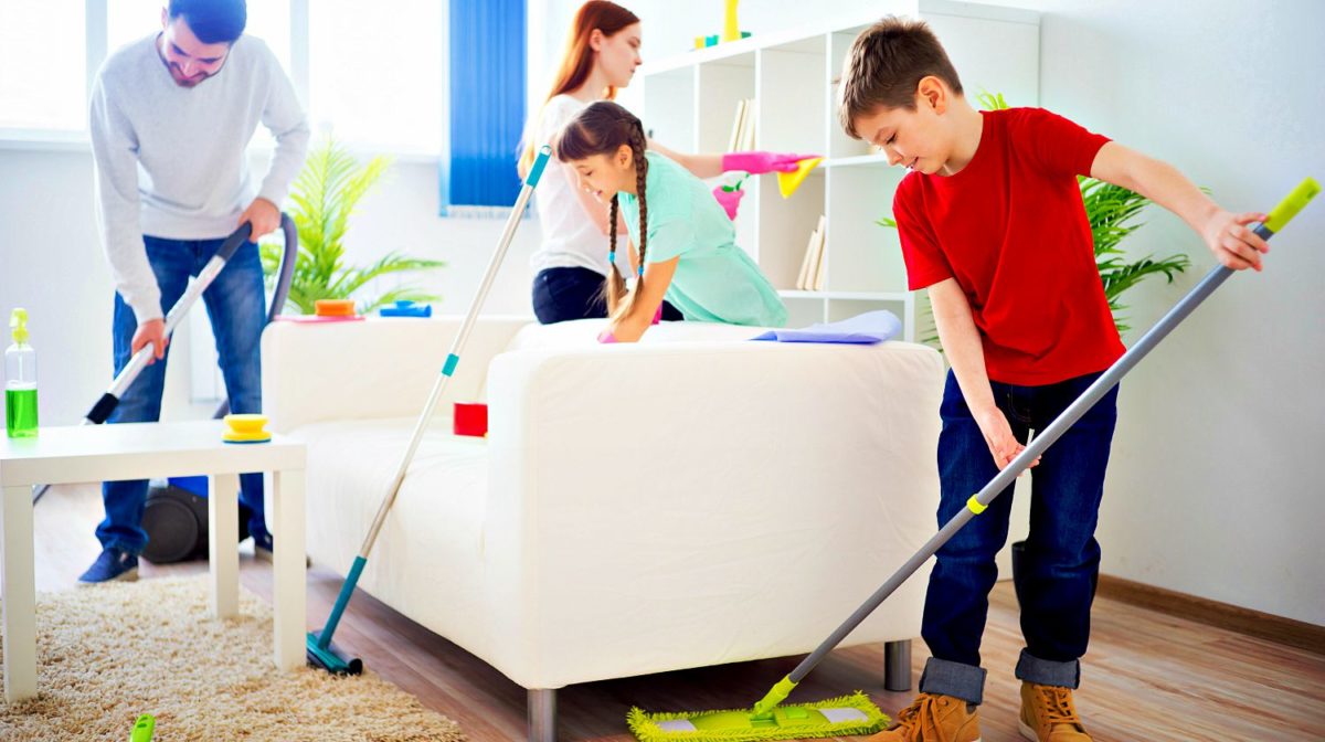 Alat Kebersihan Rumah Serbaguna