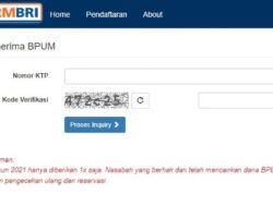 Panduan Login Eform.bri.co.id untuk Cek BPUM 2022