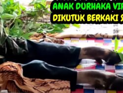 VIDEO Viral Anak Durhaka Kepala Kambing dan Kaki Sapi