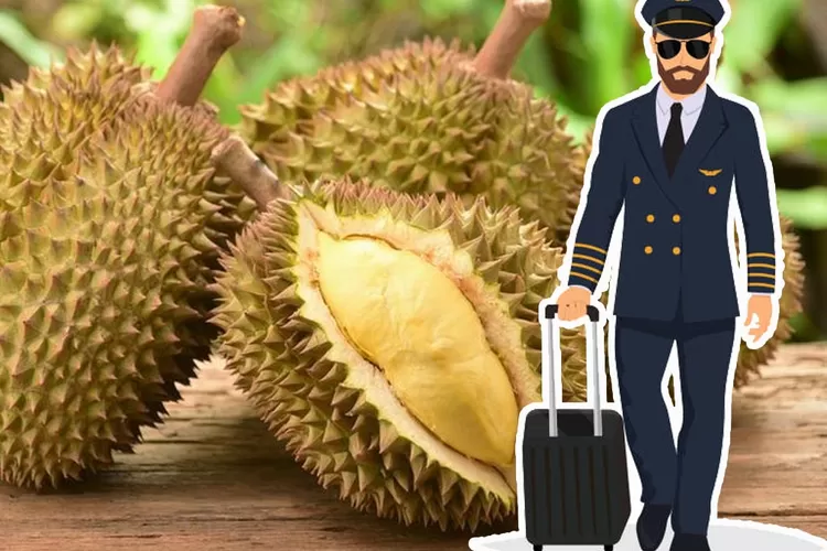 Cerita 3 Pilot Viral Tiktok Bawa Durian