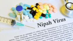 Virus Nipah Malaysia